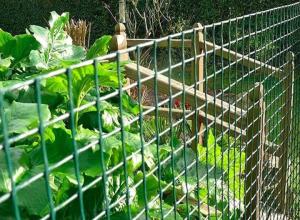 Quality 1.5m Height Green PVC Coated Wire Mesh / Heavy Duty Garden Fence Panels 10m Roll wholesale