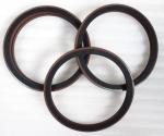 Custom Deutz Engine Parts OEM 04907773 04253333 Crankshaft Rear Oil Seal