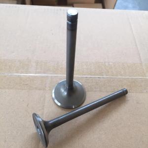 Quality Automobile Parts 6DS Intake And Exhaust Valve For Mitsubishi 20801-00100 30804-01101 wholesale
