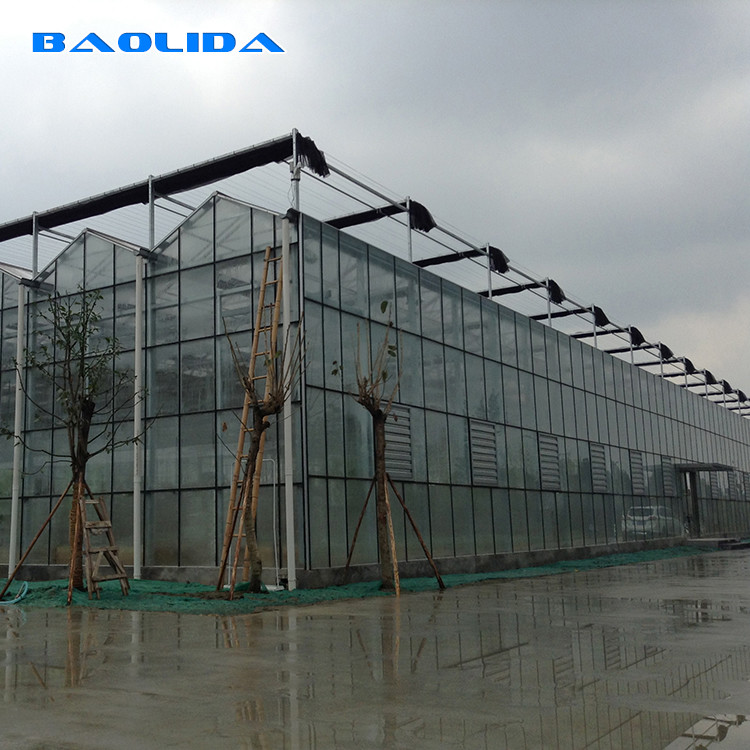 Agriculture FarmingVenlo Type Greenhouse For Fish Vegetable Hydroponics And Aquaponics