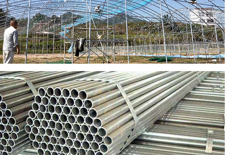 Commercial Film Covered Single Tunnel Greenhouse for Maximizing Agricultural Output