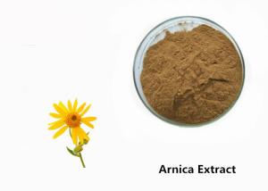 Quality Arnica Plant Extract Powder wholesale