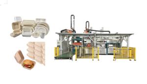Quality Disposable Pulp Molding Tableware Equipment wholesale
