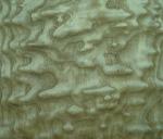 Sliced Natural Chinese Ash Burl Wood Veneer Sheet