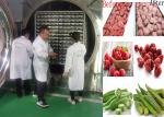 1000 Kg/Batch Food Freeze Drying Machine Air Cooling Electric Heating