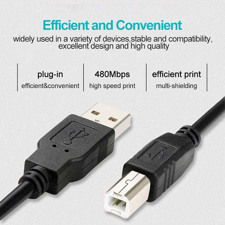 High Quality 1m 2m 3m USB Type B to A Male USB Printer Cable for HP