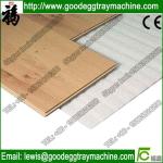 Supplying EPE Foaming Sheet Production Line for making EPE foam(FCFPM-170)
