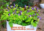 cultivating bags, 100% biodegradable various Wholesale Poly Black Square Garden