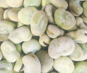 Quality No Pigment Frozen Fava Beans Sauce Cover Healthy Raw Ingredient Good Taste wholesale
