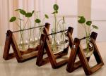 glass vase terrarium for planting deco