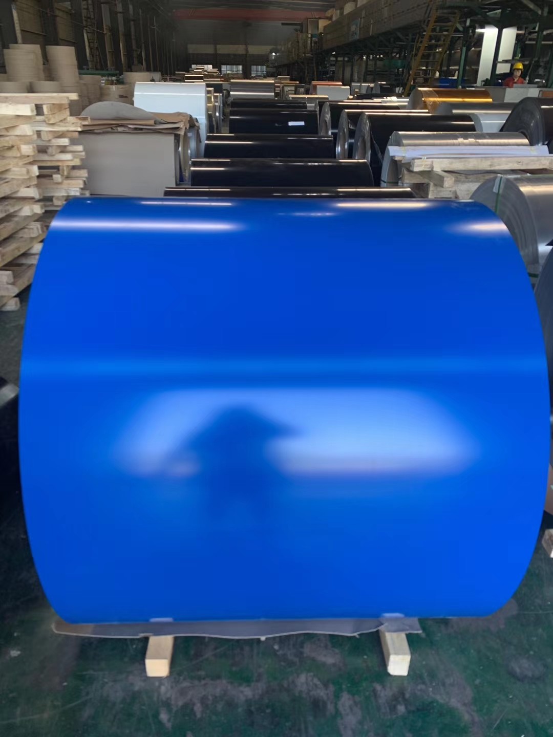 1050 1100 3003 Color Coated Aluminum Coil with PE Paints
