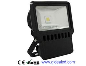 Quality China COB 100W LED Flood light high luminous IP65 Waterproof floodlights wholesale
