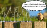 Bird Spikes for Pigeons Small Birds,Stainless Steel Bird Spikes -No More Bird