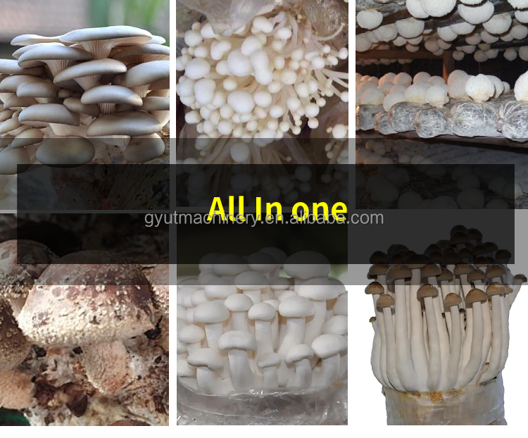220V/380V Voltage Edible Fungus Bagging Machine for Mushroom Growth Substrate Mixing