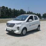 Raysince high end quality vehicle electric wholesales cheap price fast electric