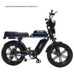20 Inch Fat Tire Ebike 48V 1000W Electric Mountain Bike For Eco-Friendly