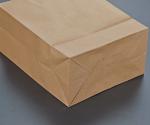 Portable brown paper bag