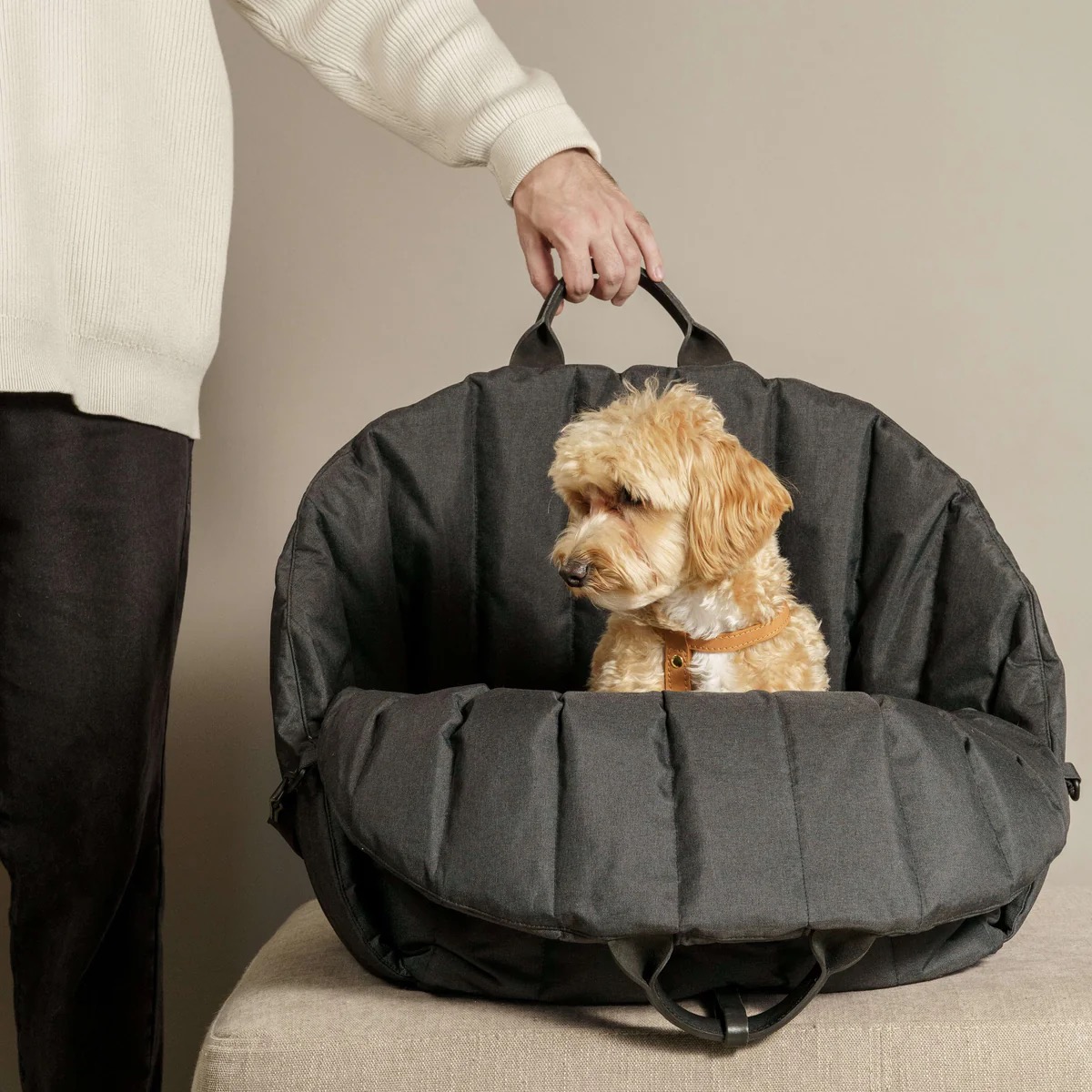 Dog Cat Bag Pet Travel Bag Sustainable Pet Hosue Portable Transport Chat Kedi Cantasi