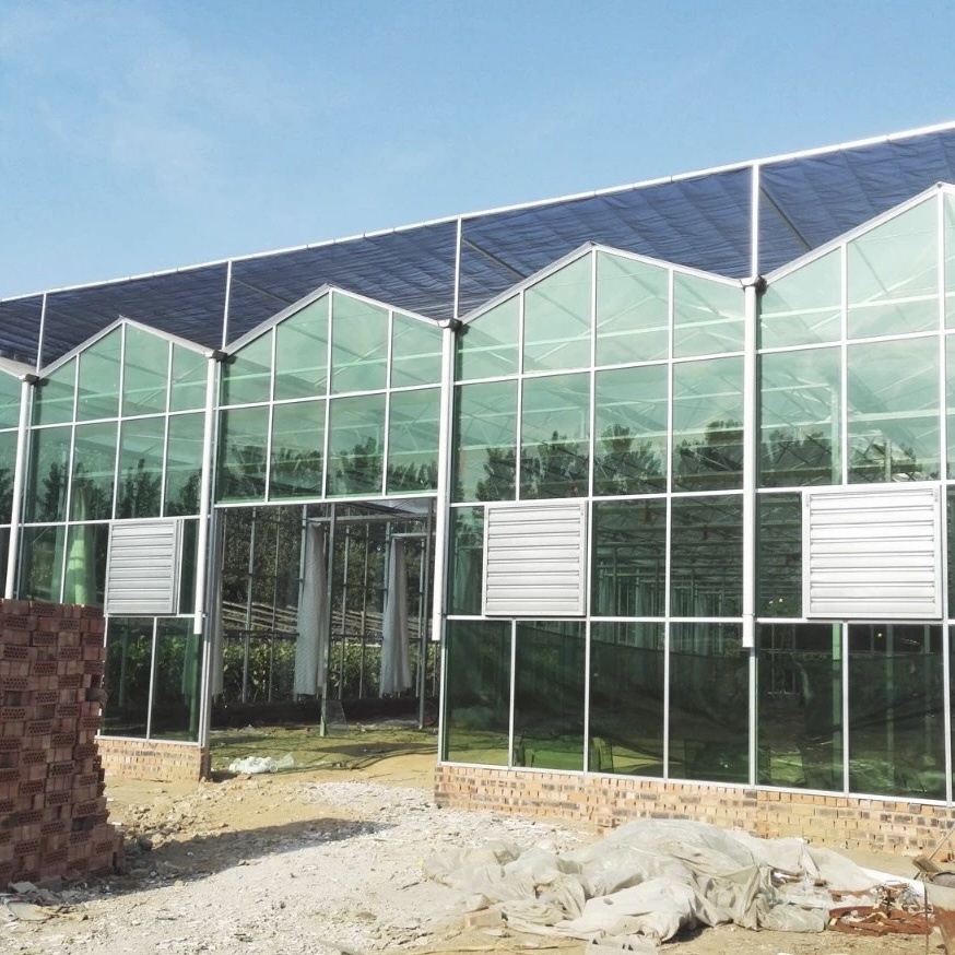 a Type Roof Glass Greenhouse Hydroponic Setup