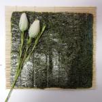 21*19cm Full Size Roasted Seaweed Nori Sheet 100 50 Sheets / Bag