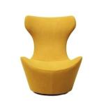 Designer Leisure Chair Nordic Creative Furniture armchair sex single sofa chair