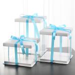 0.30mm Foldable Pet Packaging Box