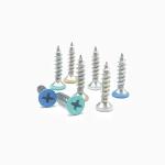 Processing baking paint white stainless steel screw decoration wood screw color