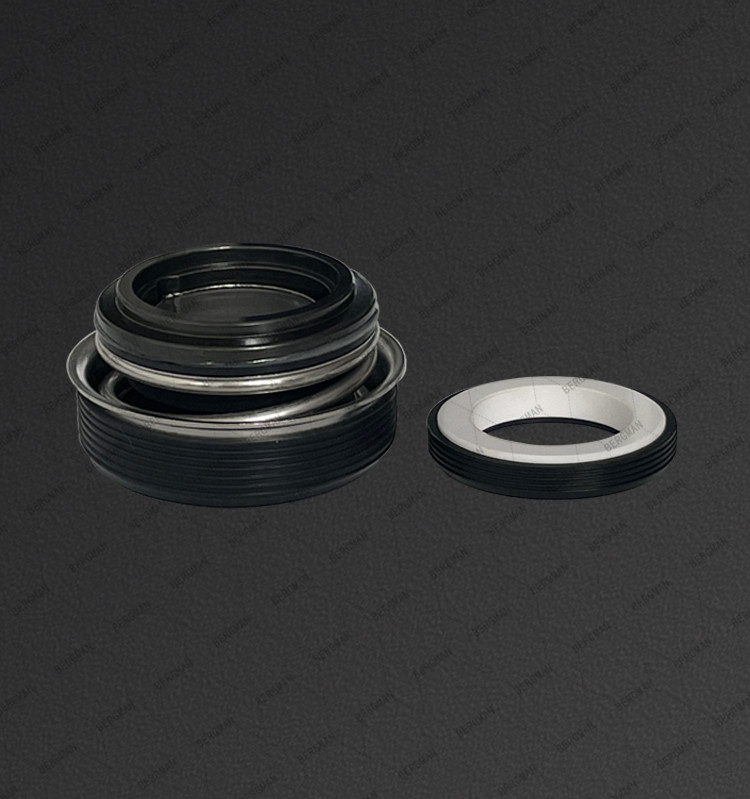 BERGMAN FT-12 16 20 25 30mm Water Pump Water Seal Mechanical Seal