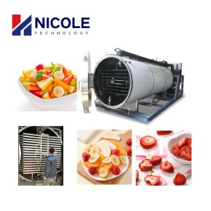 Quality Vacuum Food Fruit And Vegetable Lyophilization Equipment 380V 415V wholesale