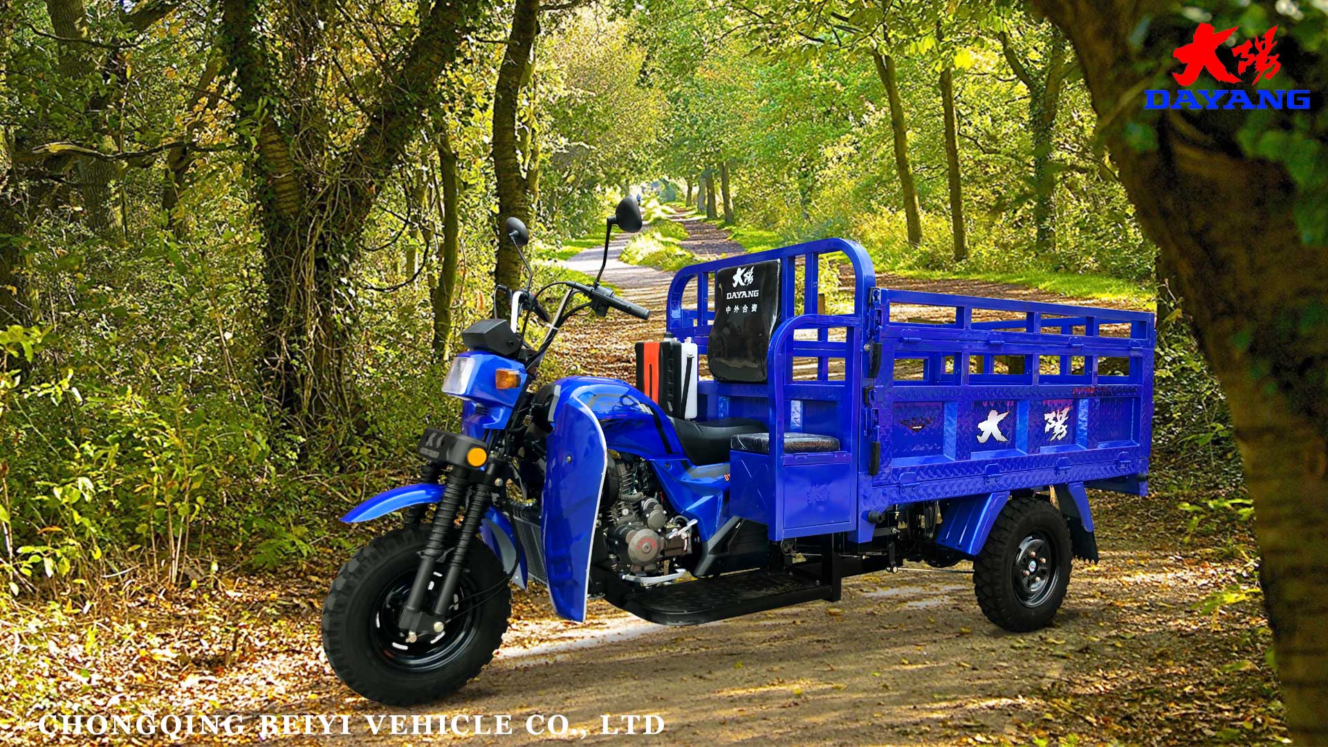 DAYANG Heavy Loading Tricycle 175CC/200CC/250CC Q2 Cargo Tricycles for Cargo Delivery