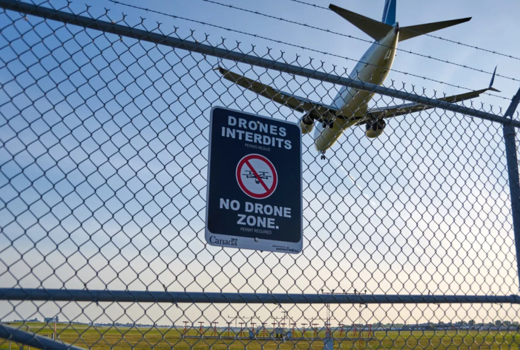 Prices PVC Coated Welded Airport Security Fence Rectangle Pressure Treated Wood Type
