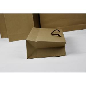 Quality 250g 300g Eco Friendly Paper Shopping Bag With Twised Handle wholesale