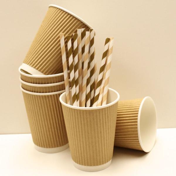16oz Coffee Paper Cup Disposable Double Wall Kraft Biodegradable Coffee Cup