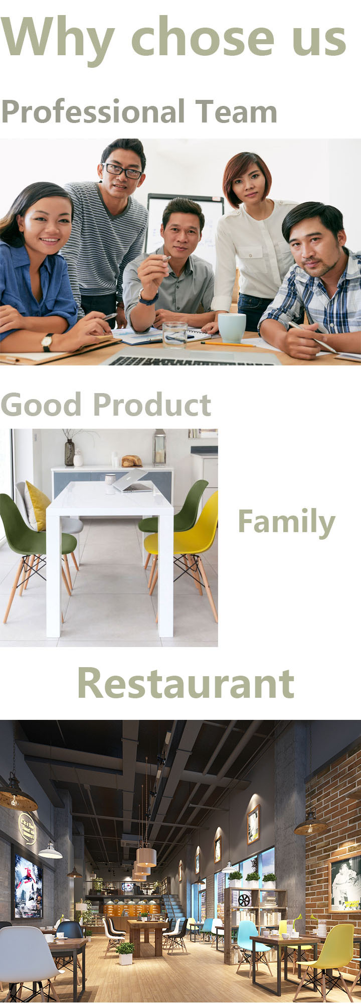 Fashion Multicolored Plastic Dining Chairs For Family / Restaurant