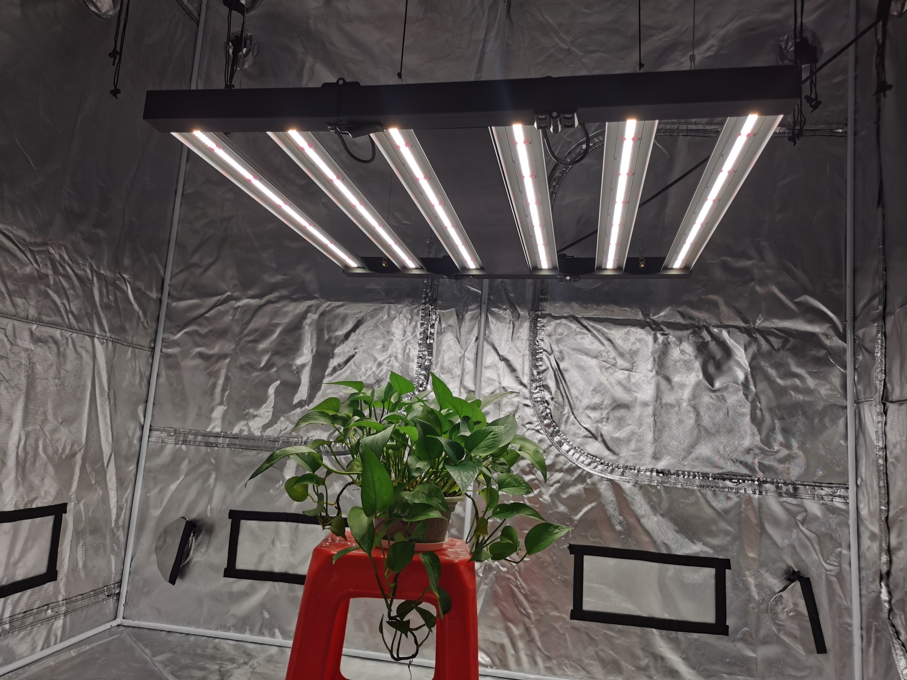 IP54 Full Spectrum LED Light Bar 800w 2.8 mol/J LED Grow Lamp For Indoor Plants