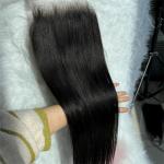 Preplucked Hairline Swiss HD 5x5 Lace Closure Straight Human Hair