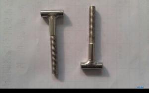 Quality T bolts half thread special cold forging bolts wholesale