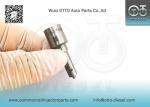 DLLA153P1608 Bosch Diesel Nozzle For Injectors 0 445110274 / 275 / 724