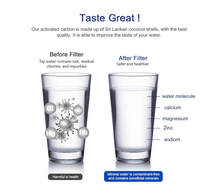 LT700P Refrigerator Water Filter Cartridge Replacement for 469690 Water Purification