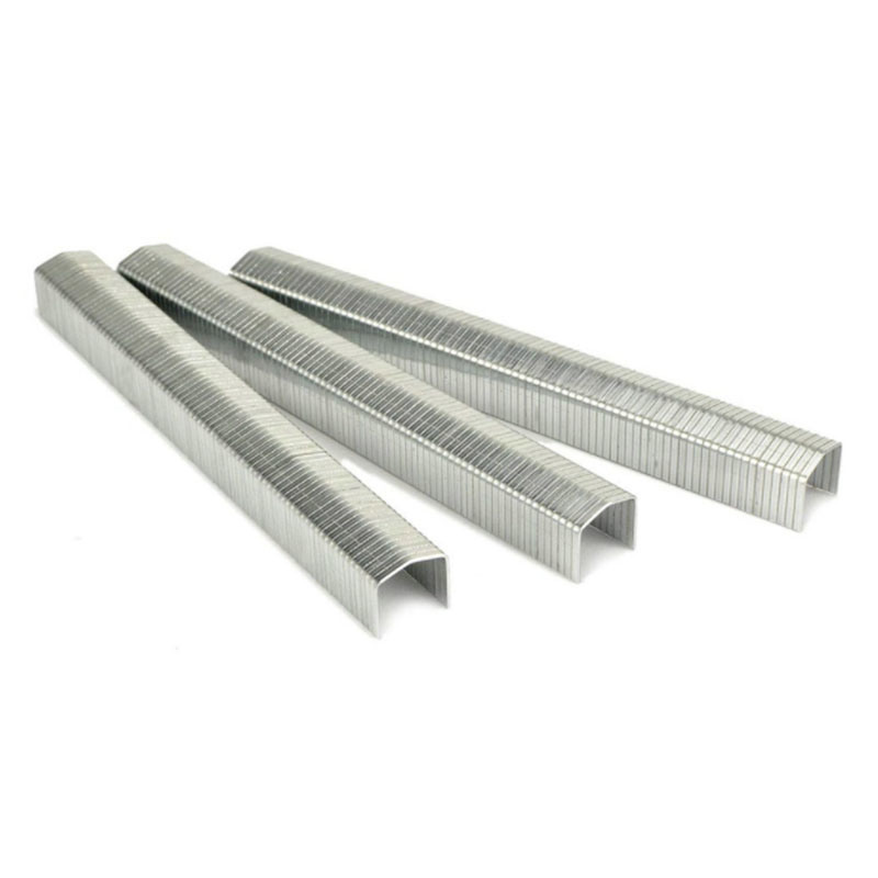 Stcr5019 Series 20 Gauge 11.60mm Crown 10mm Furniture Staple