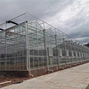 Quality Heating System Serra Di Vetro Multi-Span Greenhouse Venlo Greenhouse Spare Parts Venlo Glass Winter Greenhouse wholesale