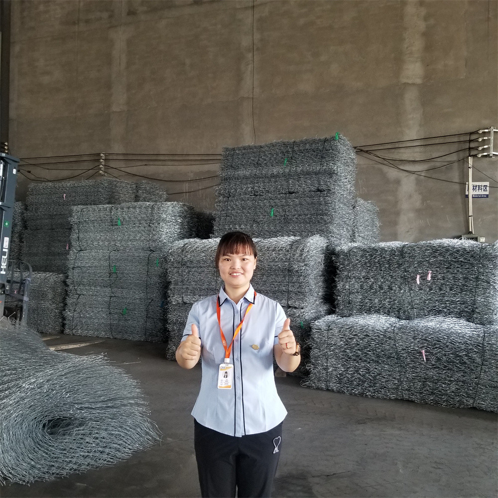 80x100mm Low Carbon Steel Zinc Plated Wire Mesh Gabion Basket 2x1x1 Size Ring Connect Fence