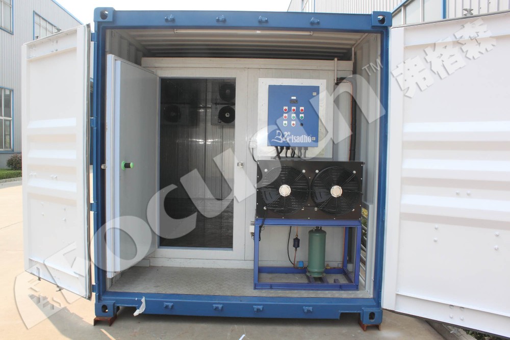 Bitzer Compressor Containerized Cold Room for Storing Meat Seafood Vegetables or Ice