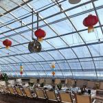 Multi-Span Sunlight Greenhouse The Ultimate Choice for Hydroponic Vegetable