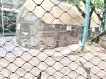 Rope Zoo Fencing Netting Stainless Steel Rope Bird Aviary Netting