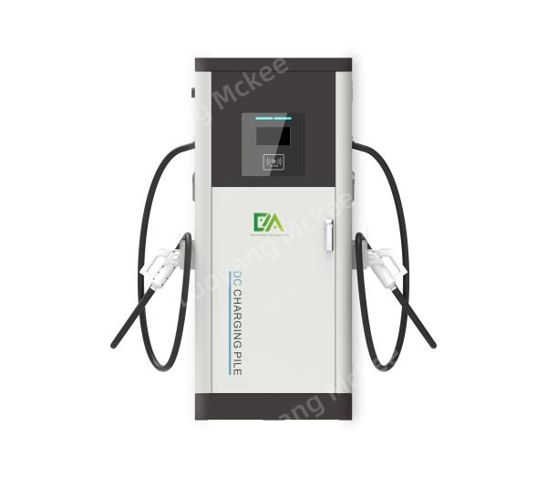 Dc Double Gun 60KW/80kW/120KW/160KW Household Commercial Electric Vehicle Fast