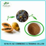 Nutritional Food Ingredients Anti-cancer Spray Dried 100% Natural Papaya Seed