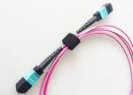 50um MPO MTP Optical Fiber Cable 40G OM4 Multimode Violet Color