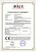 Shenzhen Coreshine Optoelectronics Co.,Ltd Certifications