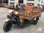 Three Wheel Motorcycle Scooter Cargo Tricycle Trike Petrol Type With Driver
